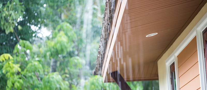 温暖で雨量の多い太平洋側気候